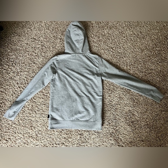 Patagonia Free Hand Fitz Roy Ahnya Hoodie in gray - Picture 13 of 13